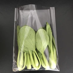 bolsa antiembaçante